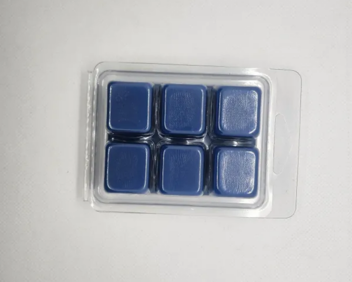 🌊 Azure Coast Wax Melt