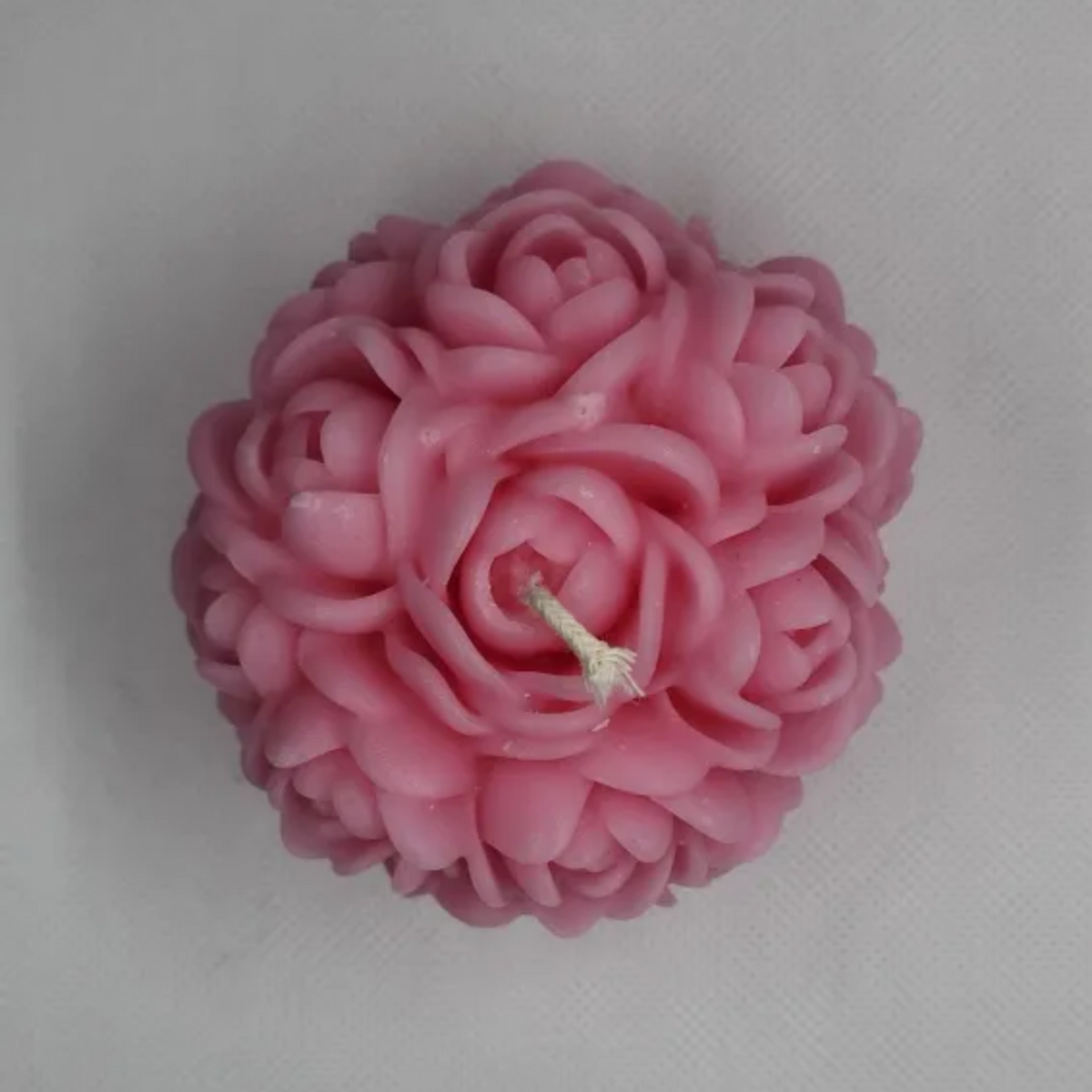 Blooming Rose