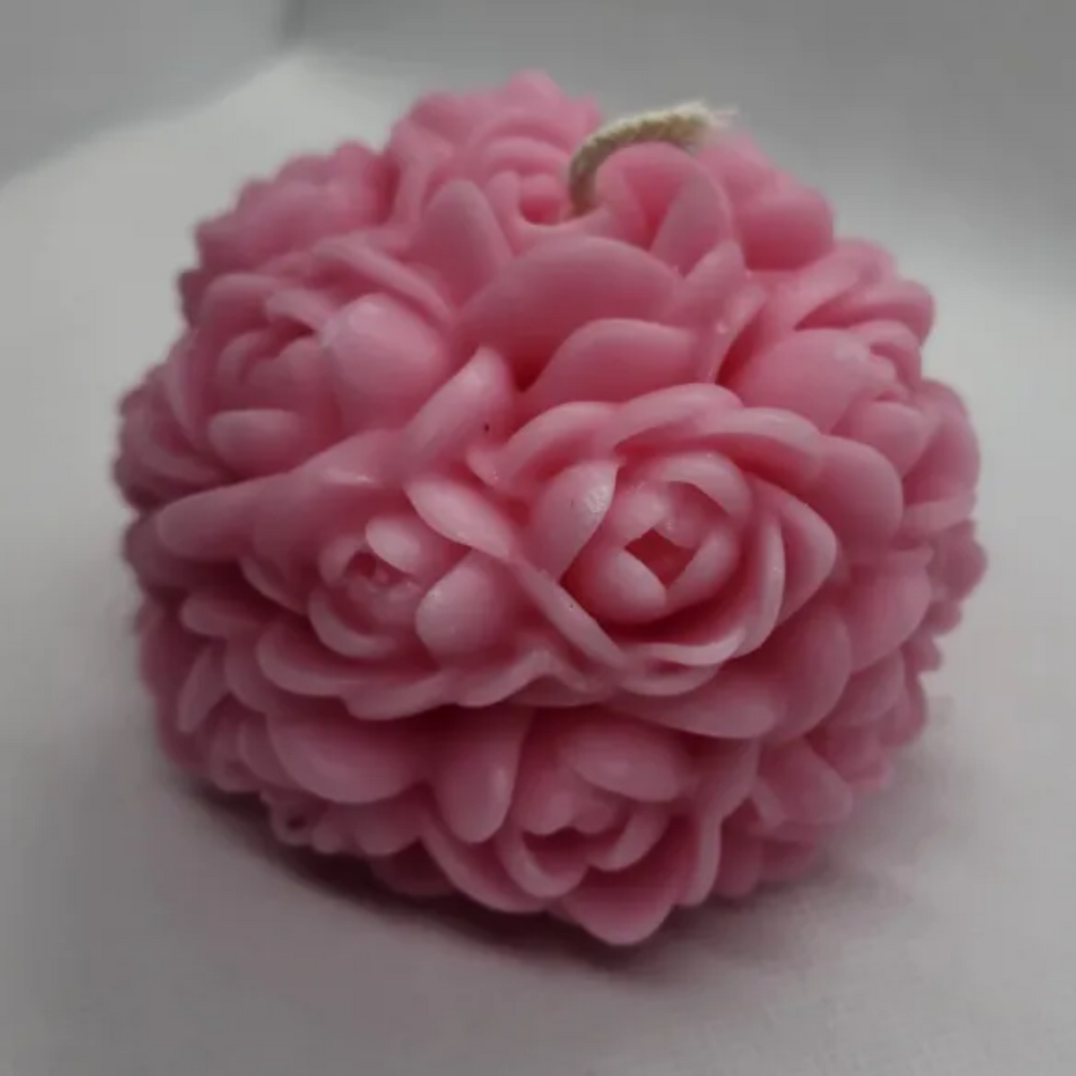 Blooming Rose